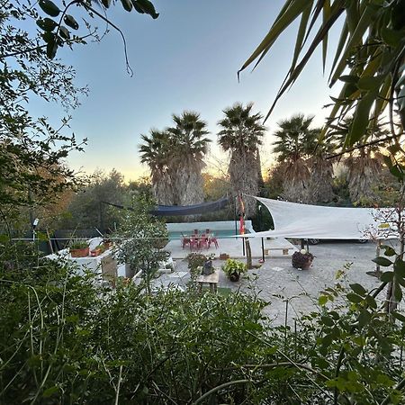 Loft Independiente "La Casita Del Olivo Centenario" Córdoba Buitenkant foto