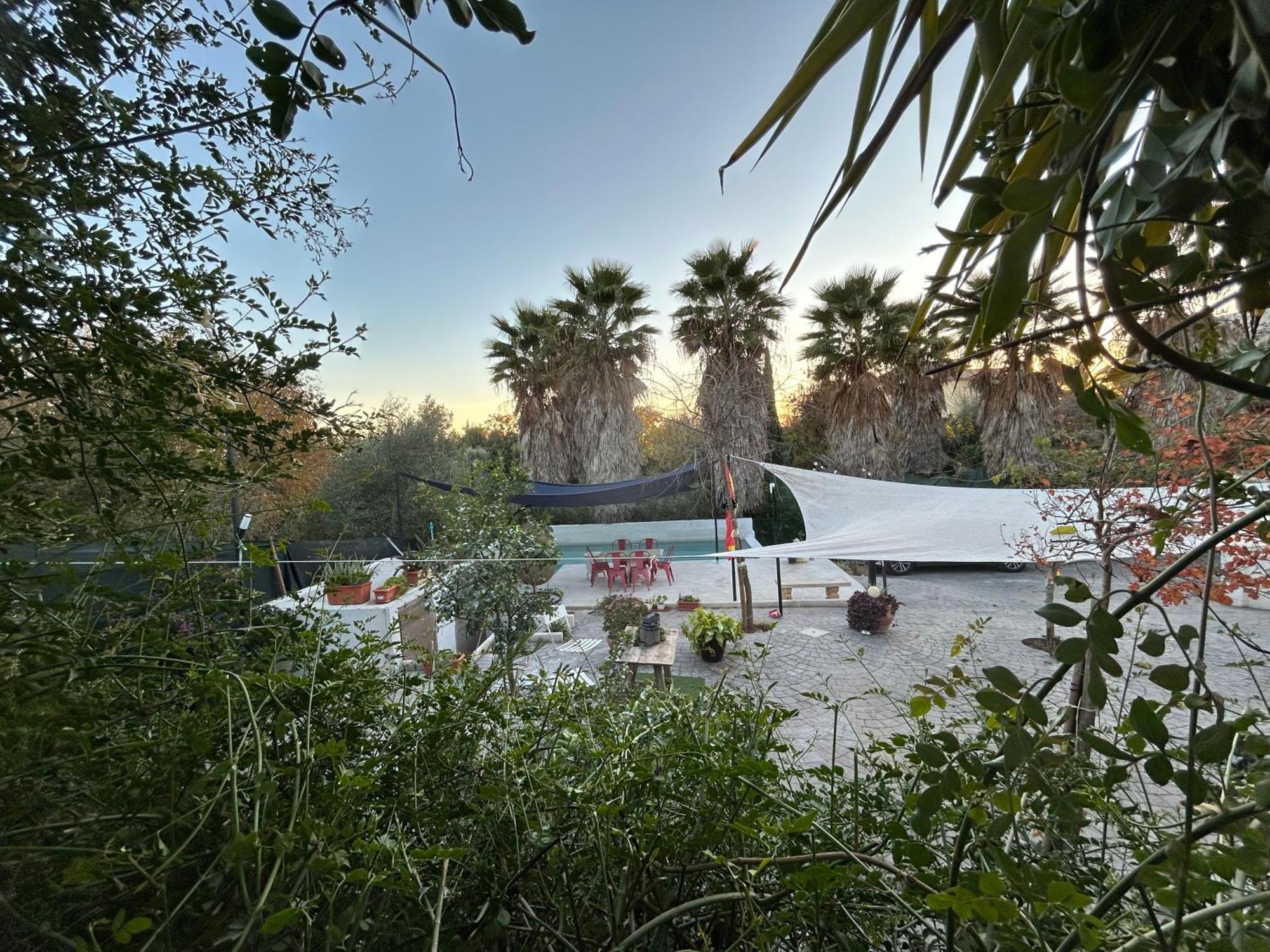 Loft Independiente "La Casita Del Olivo Centenario" Córdoba Buitenkant foto