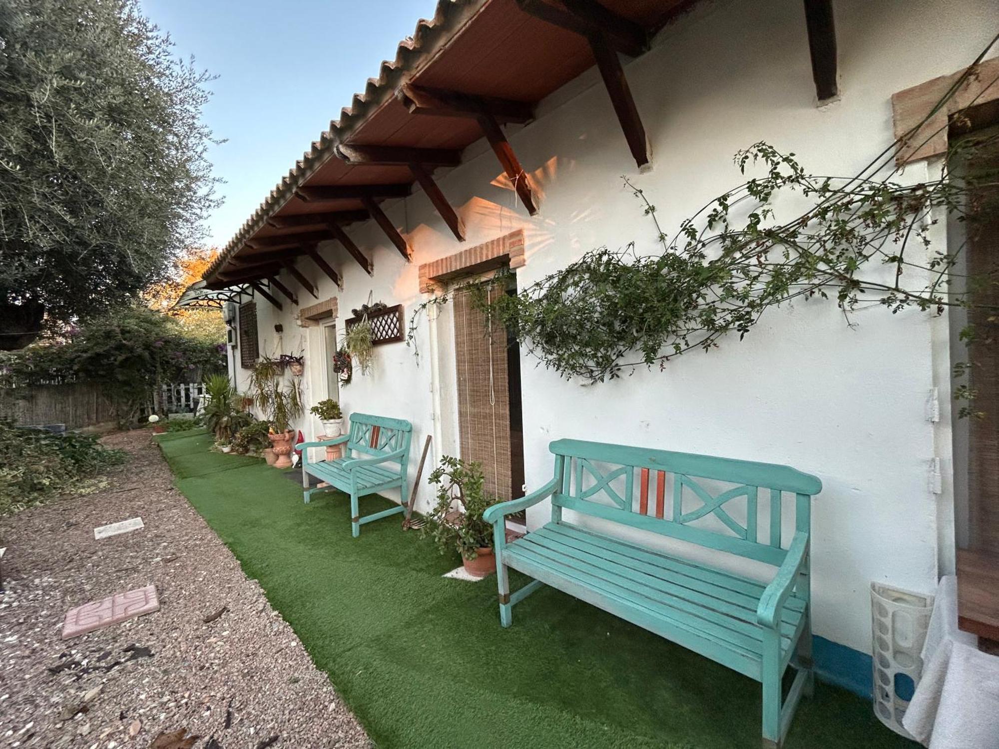 Loft Independiente "La Casita Del Olivo Centenario" Córdoba Buitenkant foto
