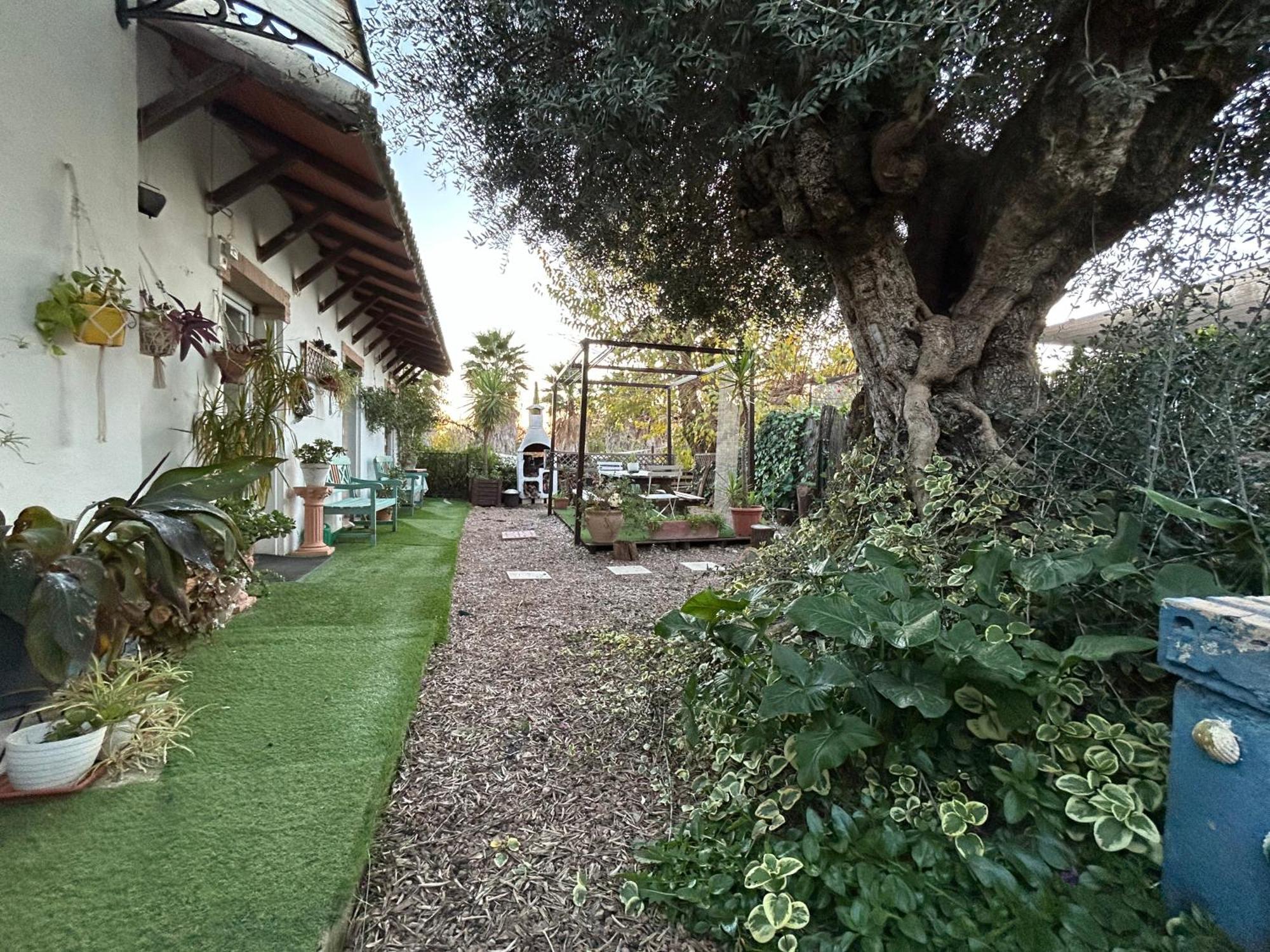 Loft Independiente "La Casita Del Olivo Centenario" Córdoba Buitenkant foto